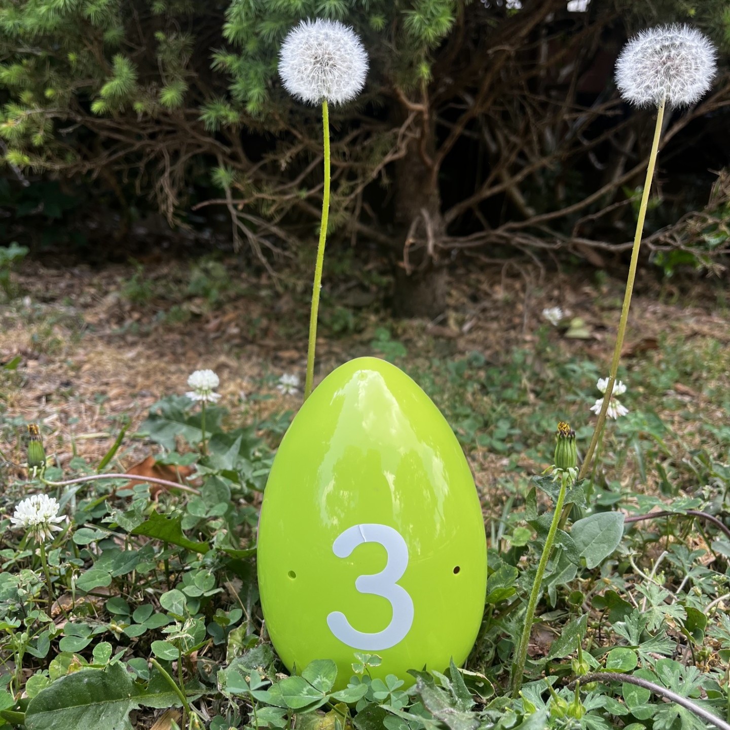 A Surprise for Our Volunteers